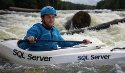 Surviving a transaction log rollback